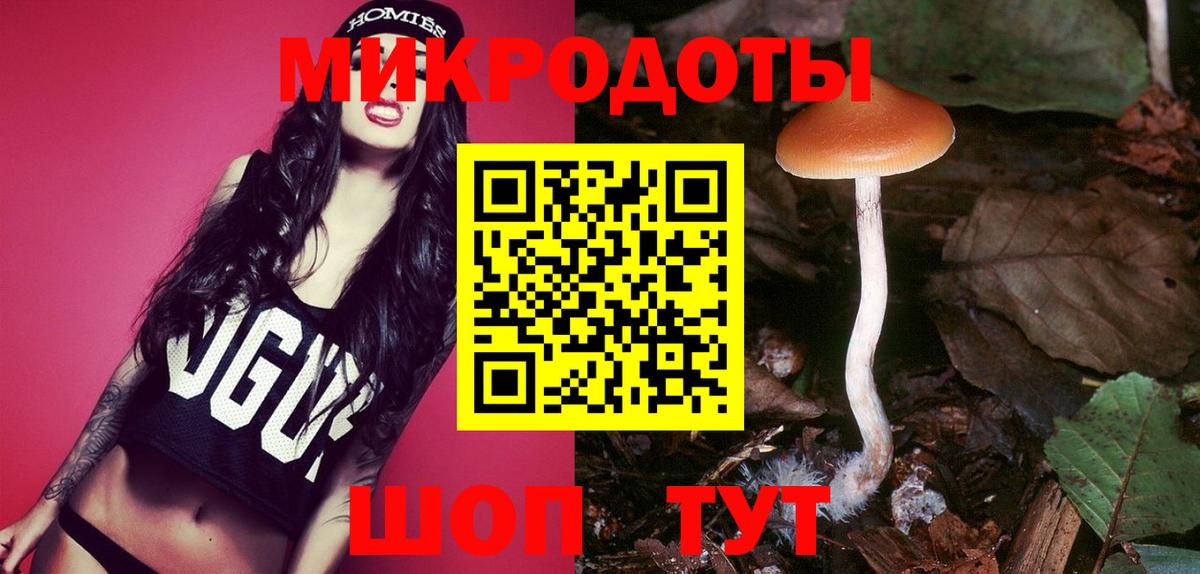 Галлюциногенные грибы прущие грибы Лабинск