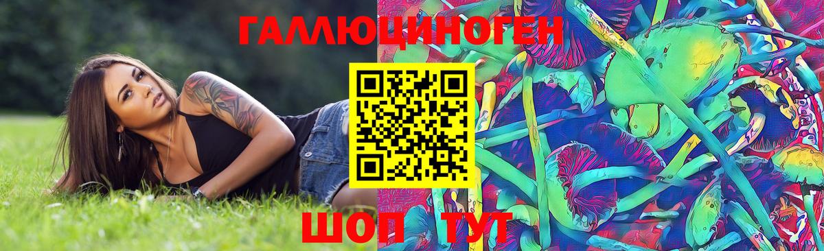 Псилоцибиновые грибы GOLDEN TEACHER  Псилоцибиновые грибы Cubensis  Вход с VPN  Лабинск 
